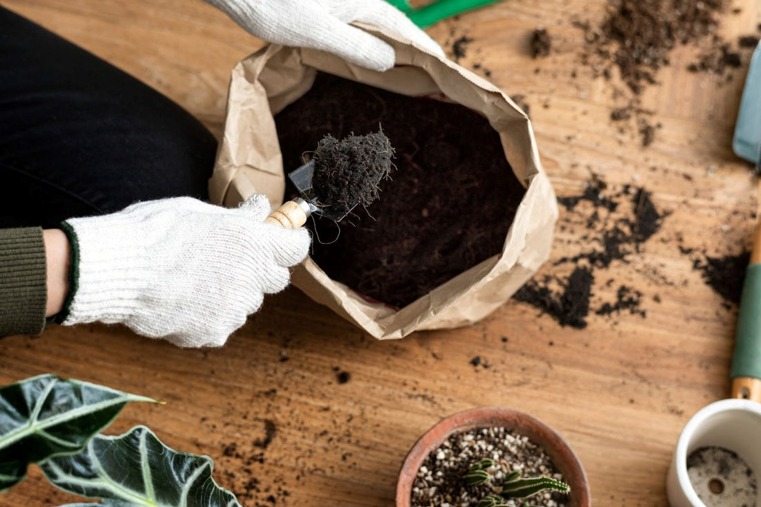 Best Organic Fertilizer For Houseplants